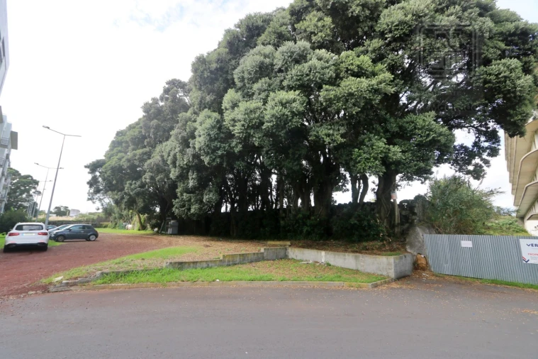 Terreno para Venda em Santa Clara Foto 11