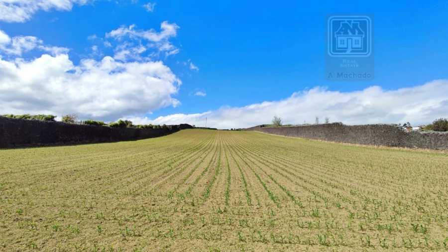 Terreno para Venda em Santa Clara Foto 18