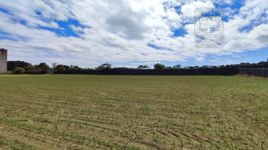 Terreno para Venda em Santa Clara Foto 4