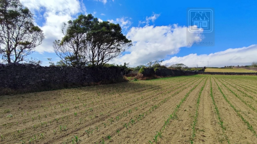 Terreno para Venda em Santa Clara Foto 10