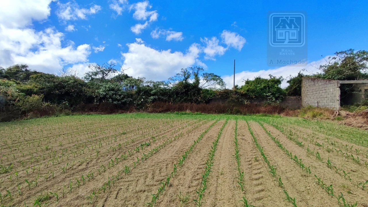 Terreno para Venda em Santa Clara Foto 7
