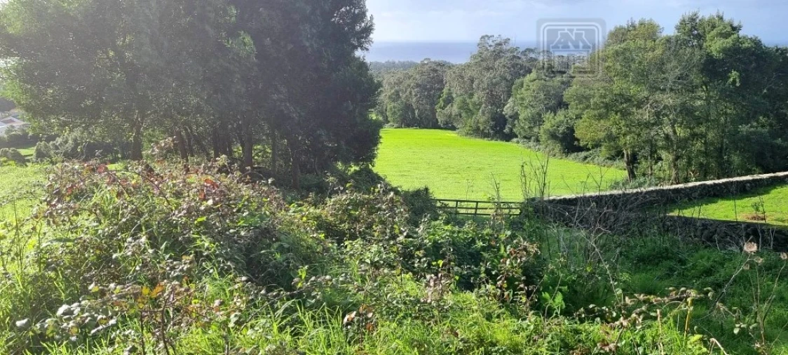 Terreno para Venda em Posto Santo Foto 7