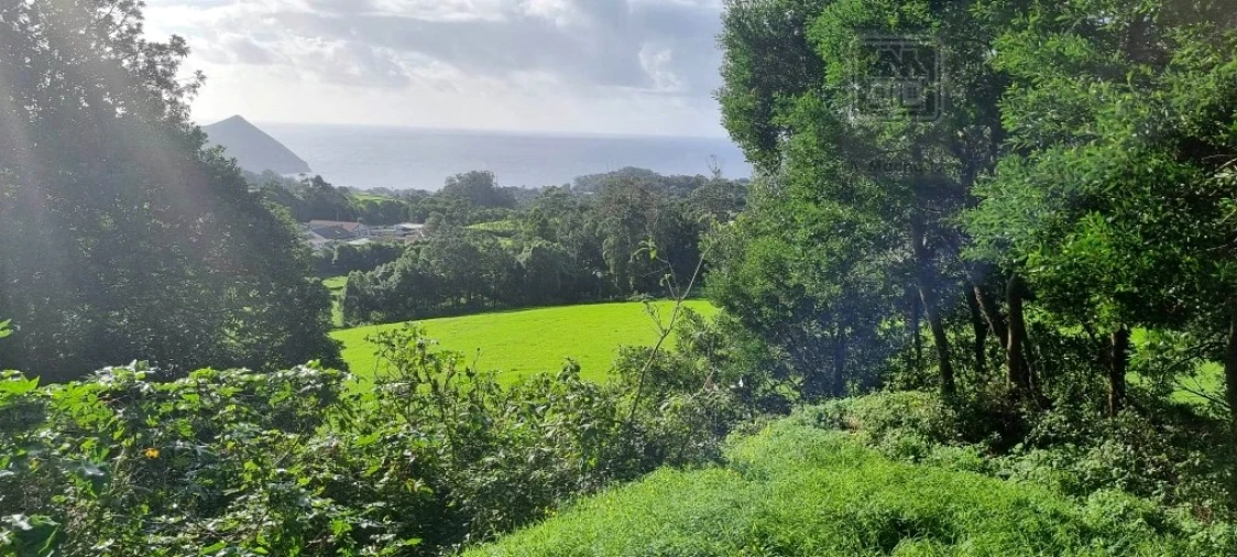 Terreno para Venda em Posto Santo Foto 8