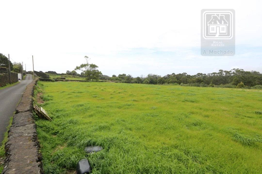 Terreno para Venda em Lagoa (Nossa Senhora do Rosario) Foto 3