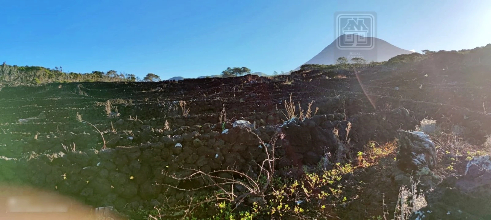 Terreno para Venda em Candelaria Foto 11