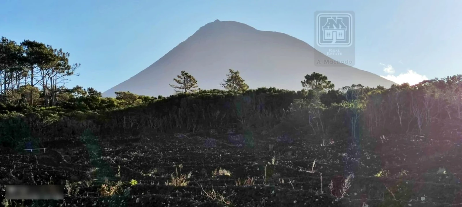 Terreno para Venda em Candelaria Foto 12