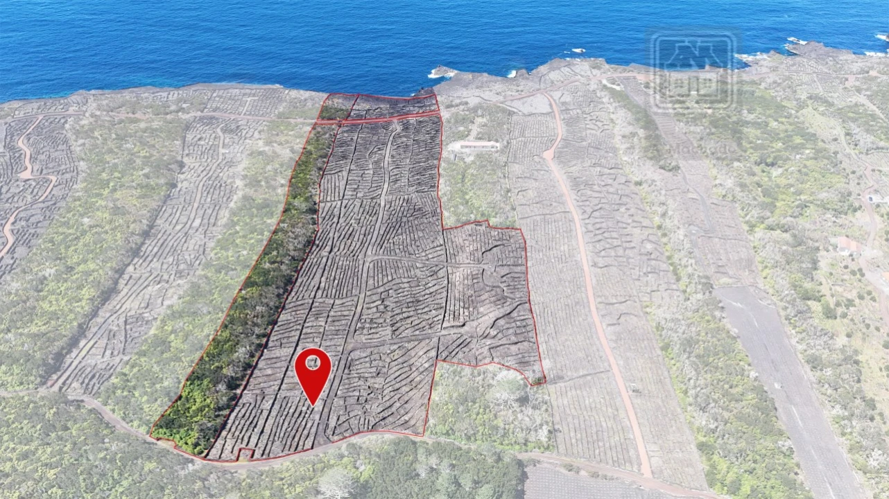 Terreno para Venda em Candelaria Foto 2