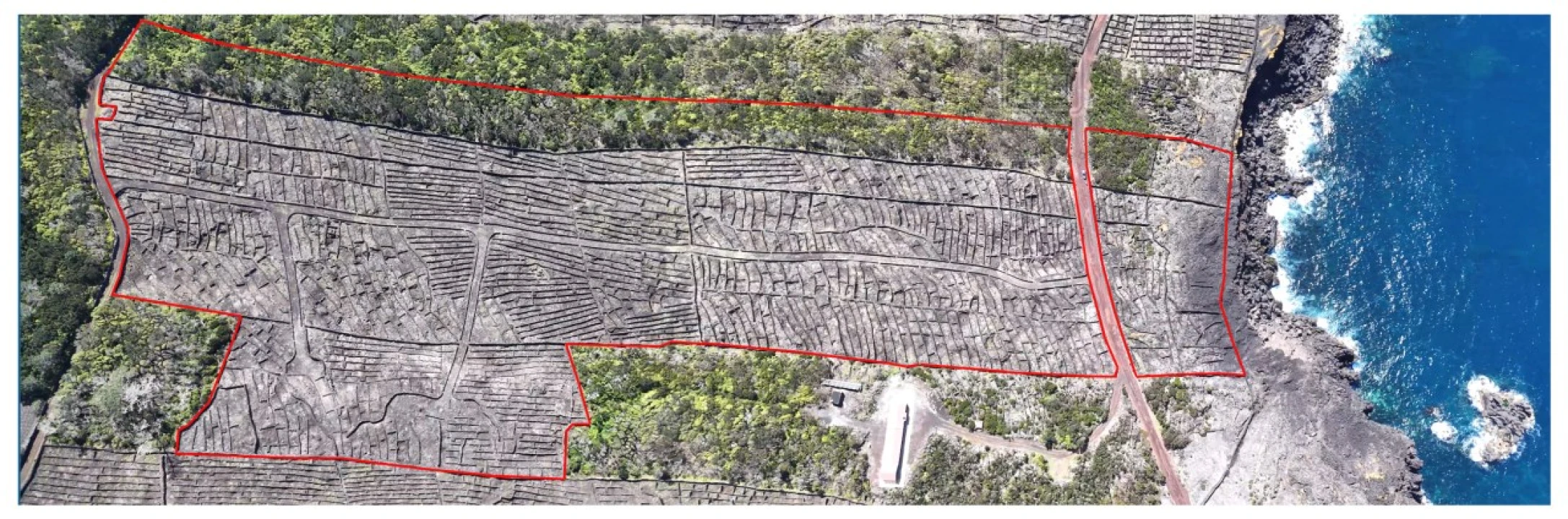 Terreno para Venda em Candelaria Foto 3