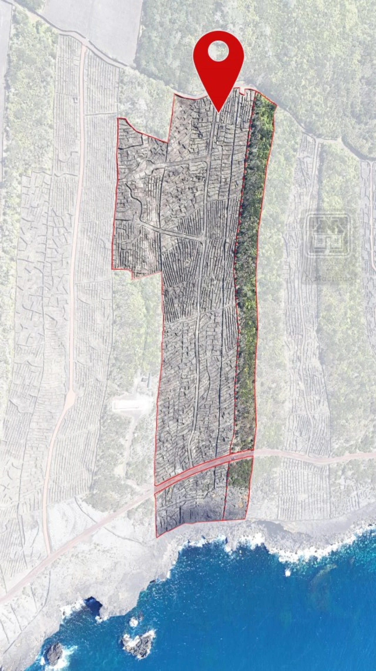 Terreno para Venda em Candelaria Foto 4