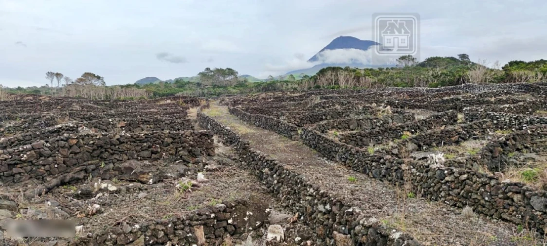 Terreno para Venda em Candelaria Foto 13