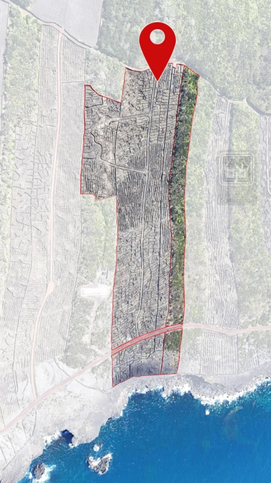 Terreno para Venda em Candelaria Foto 4