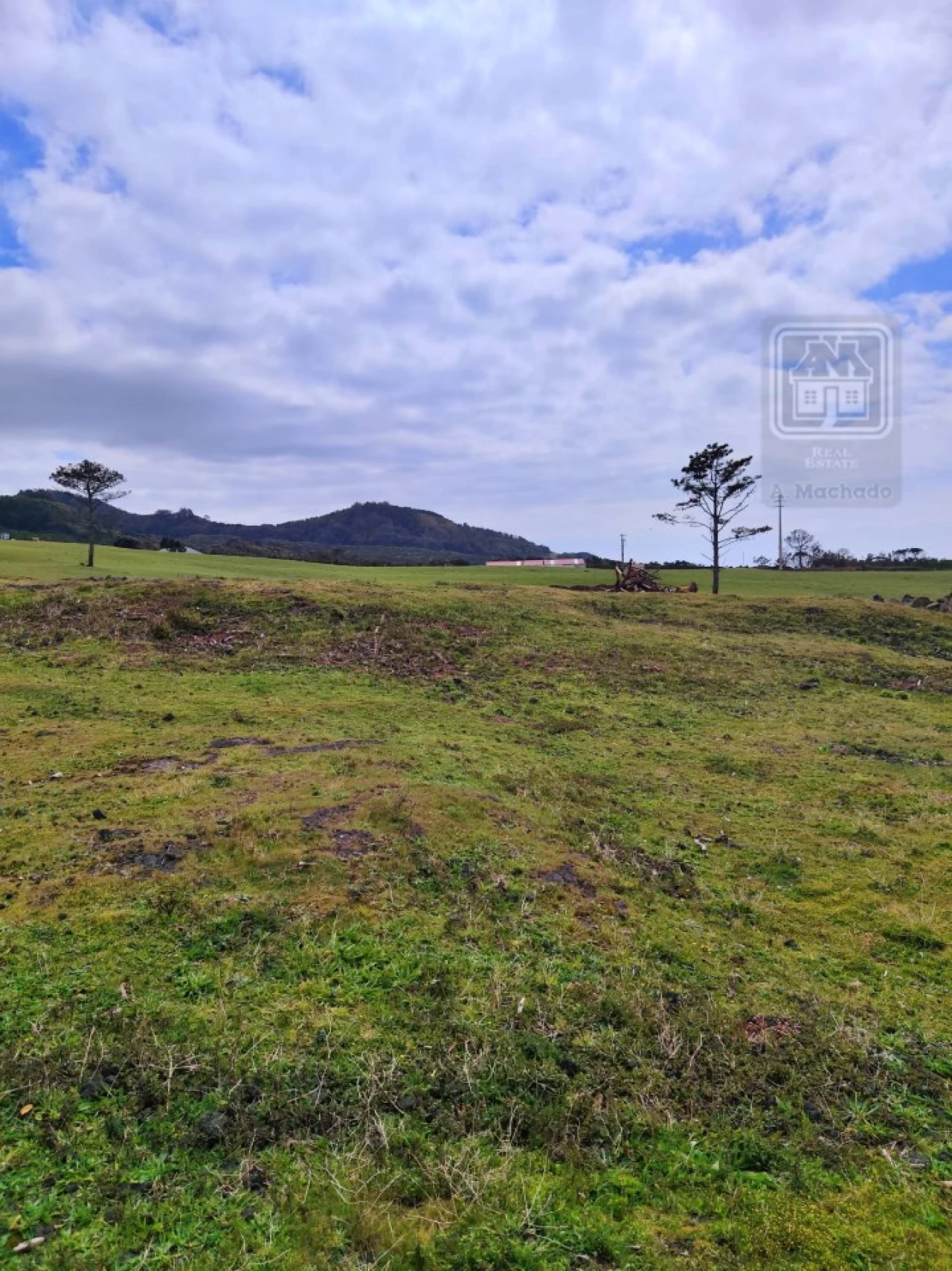 Terreno para Venda em Criação Velha Foto 6