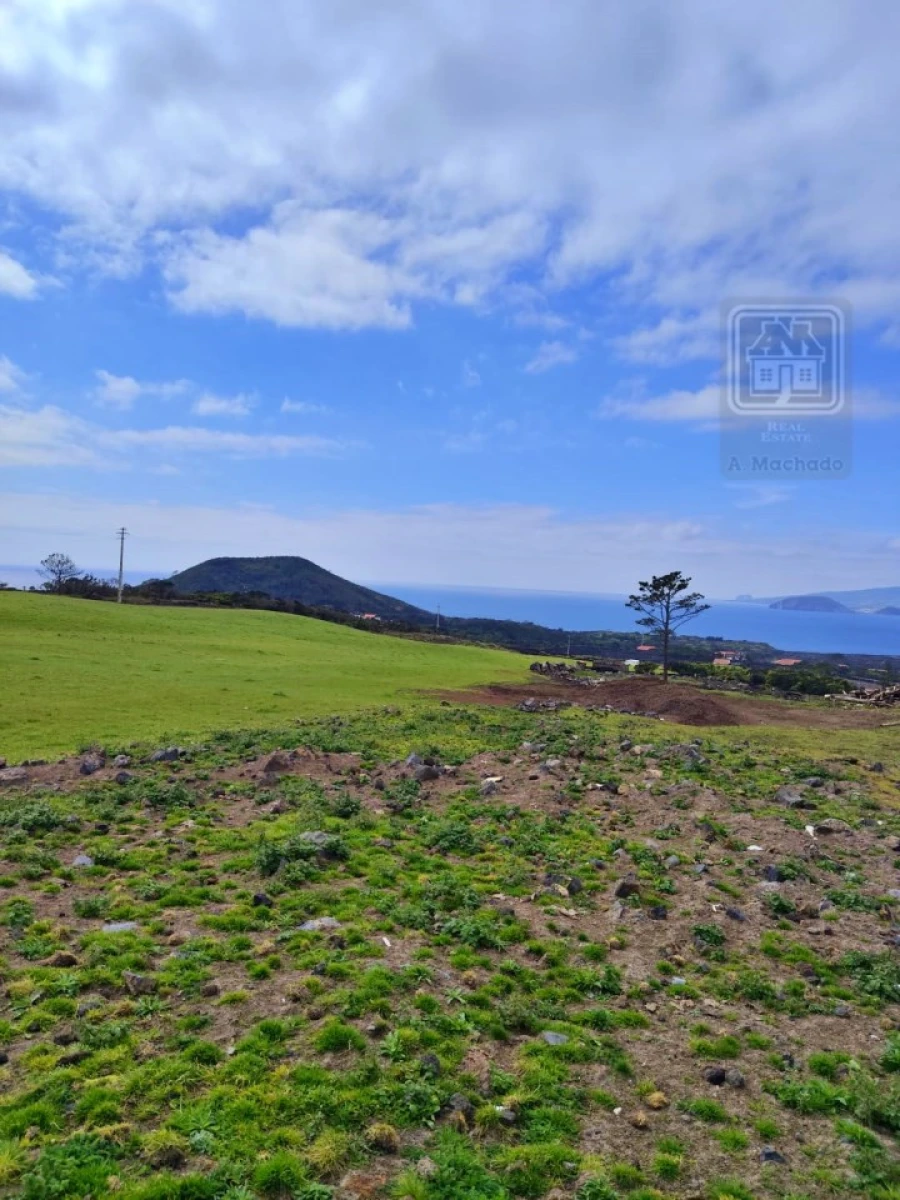 Terreno para Venda em Criação Velha Foto 9