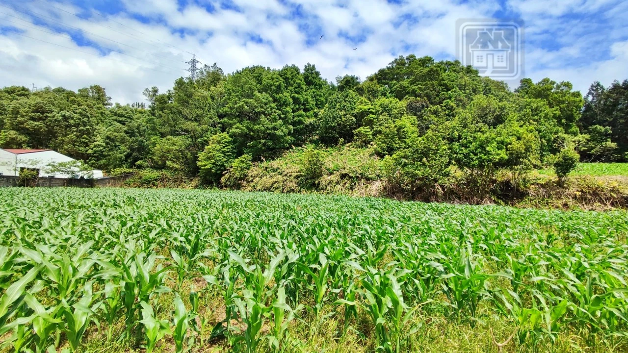 Terreno para Venda em Pico da Pedra Foto 11
