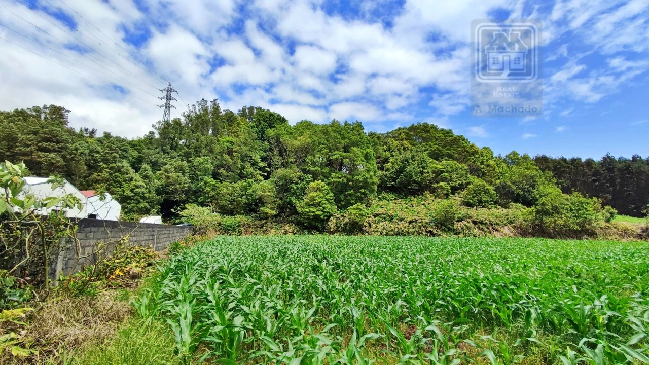 Terreno para Venda em Pico da Pedra Foto 19