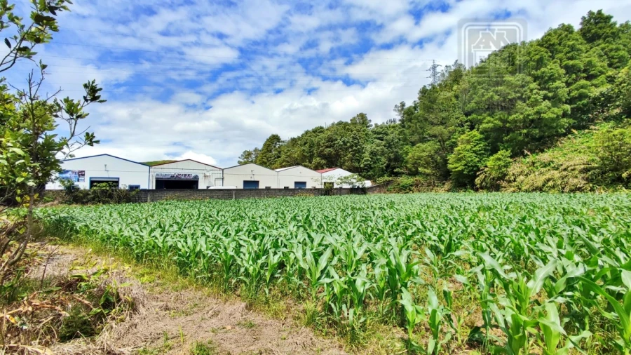 Terreno para Venda em Pico da Pedra