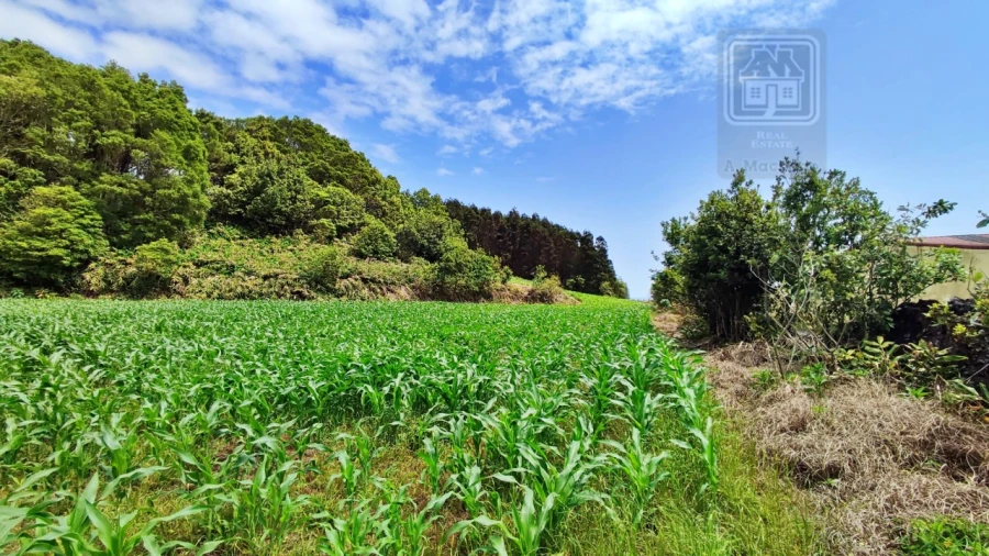Terreno para Venda em Pico da Pedra Foto 18