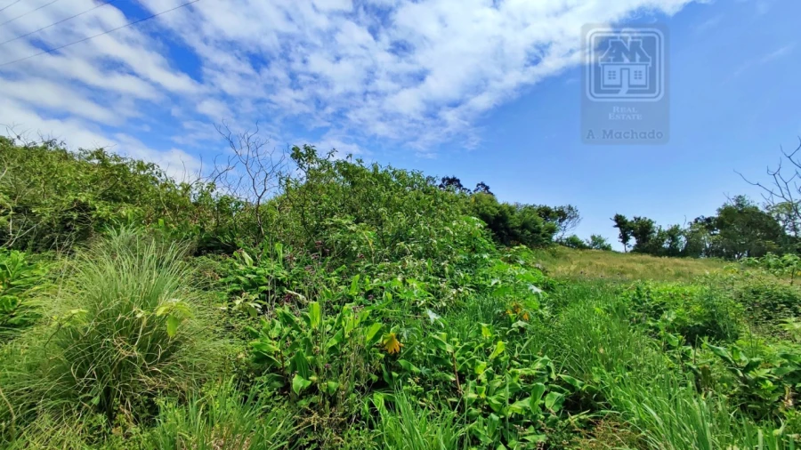 Terreno para Venda em Pico da Pedra Foto 25