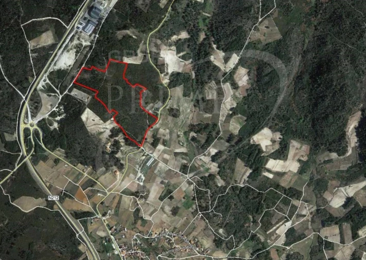 Terreno para Venda em Alijo Foto 6