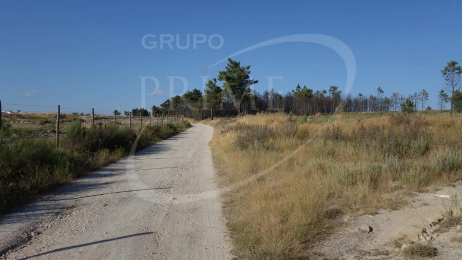 Terreno para Venda em Alijo