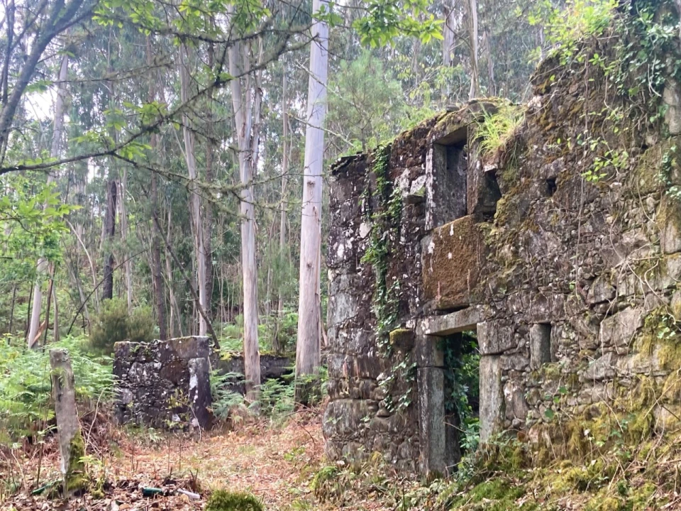 Terreno para Venda em Freixieiro de Soutelo Foto 5