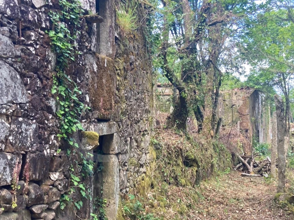 Terreno para Venda em Freixieiro de Soutelo Foto 6
