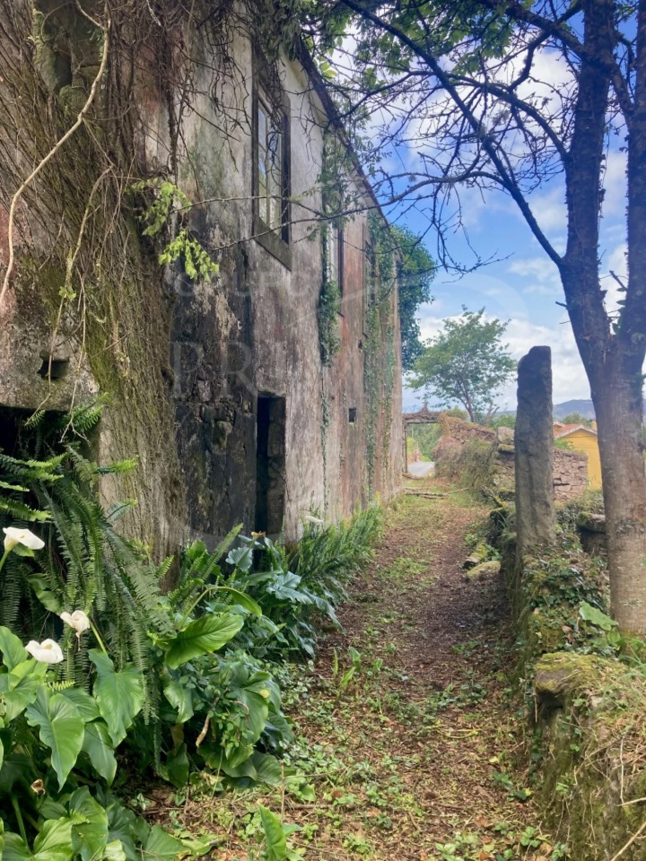 Terreno para Venda em Freixieiro de Soutelo Foto 7
