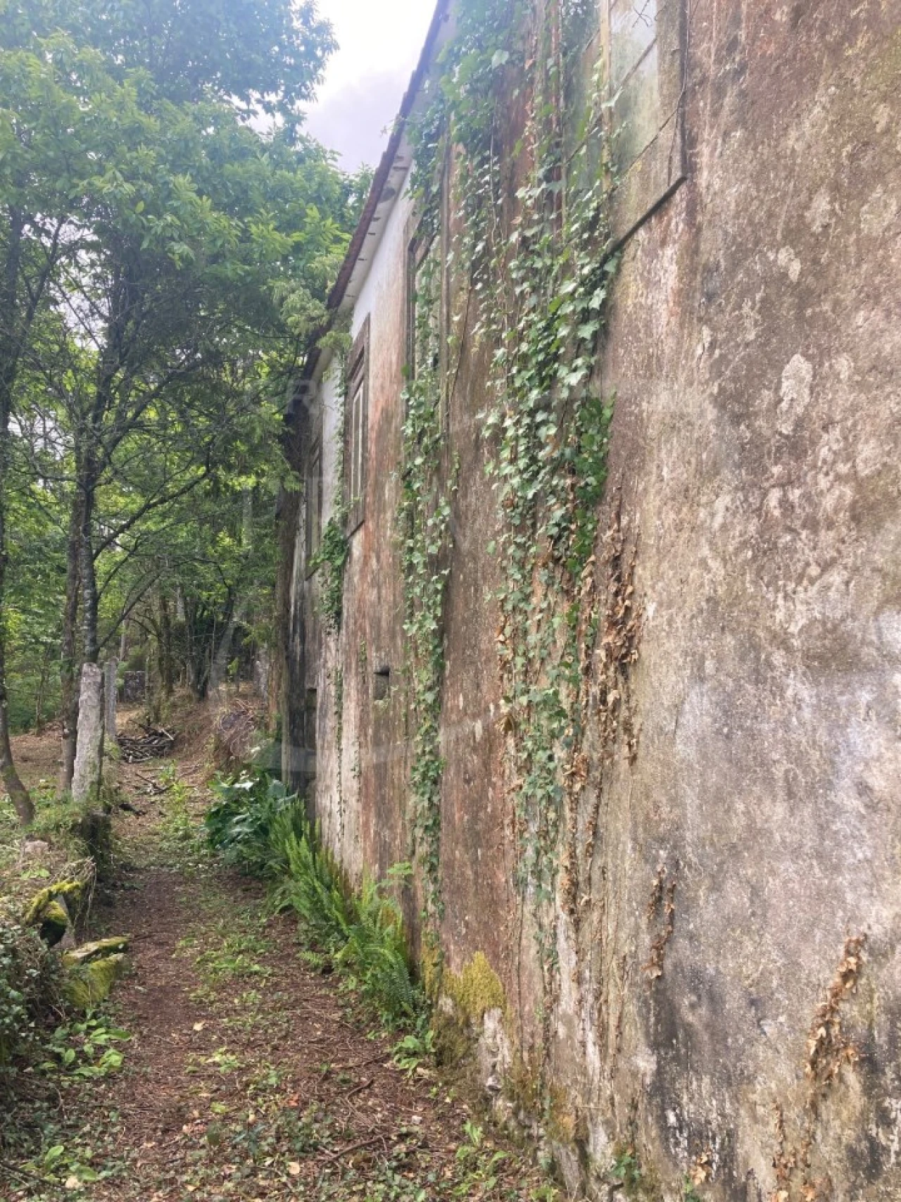 Terreno para Venda em Freixieiro de Soutelo Foto 12