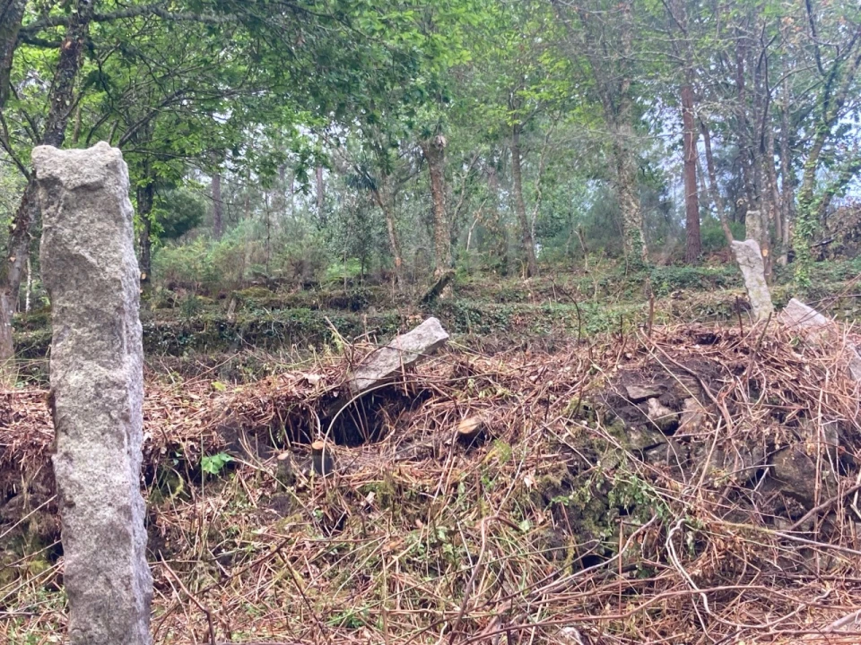 Terreno para Venda em Freixieiro de Soutelo Foto 13