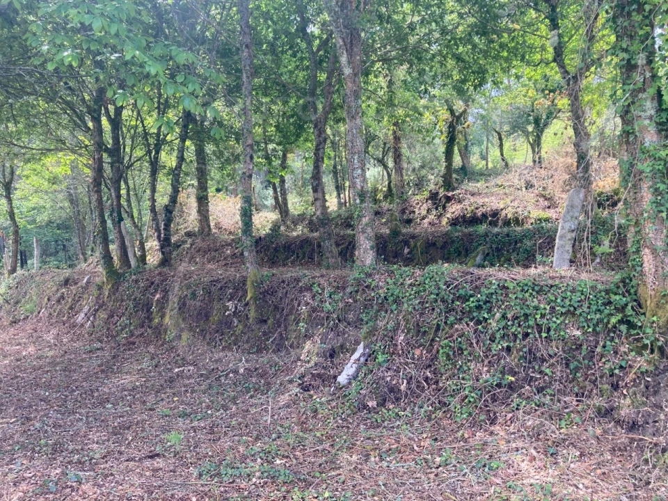 Terreno para Venda em Freixieiro de Soutelo Foto 17