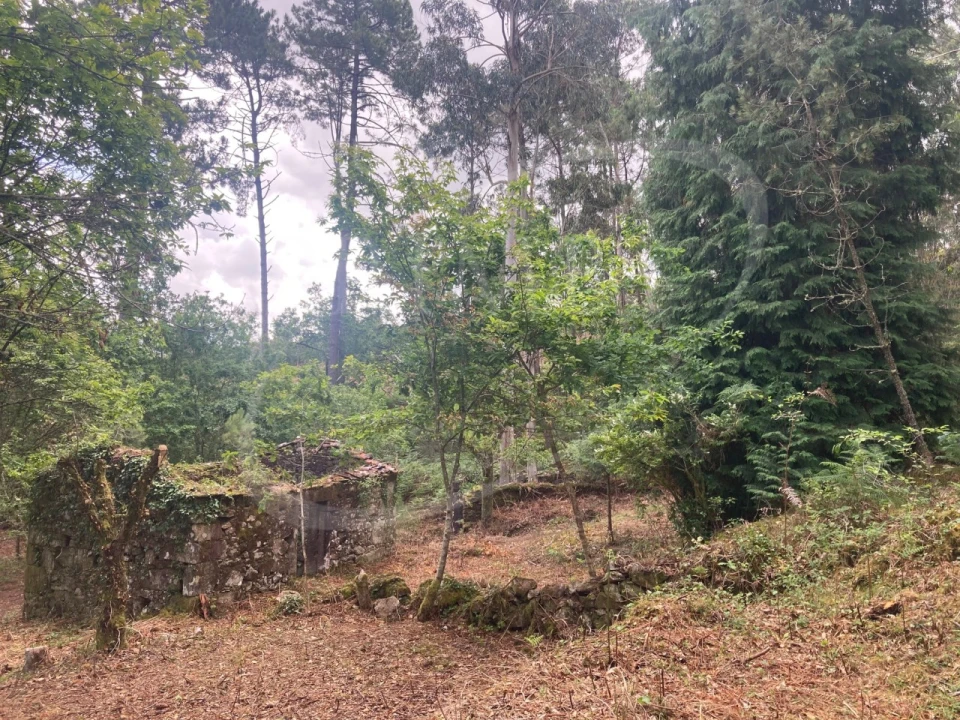 Terreno para Venda em Freixieiro de Soutelo Foto 18