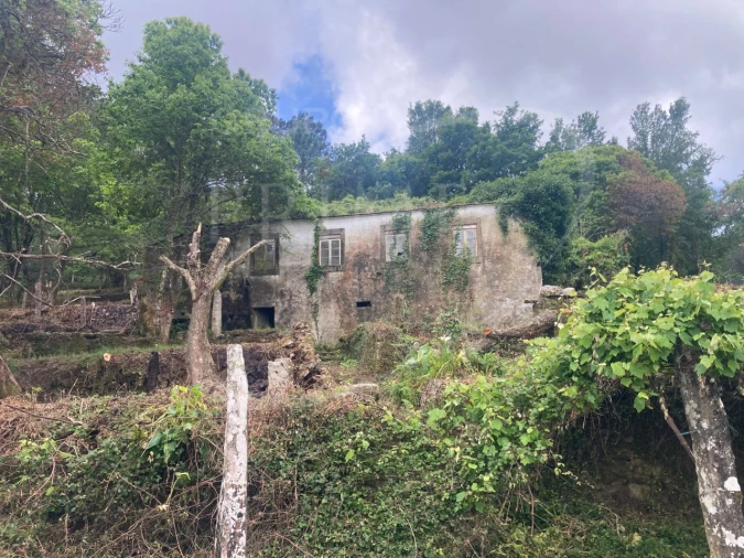 Terreno para Venda em Freixieiro de Soutelo Foto 2