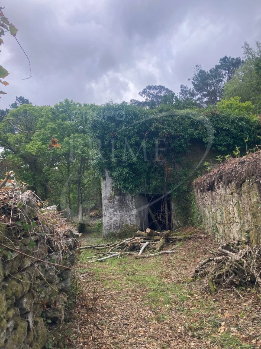 Terreno para Venda em Freixieiro de Soutelo Foto 3