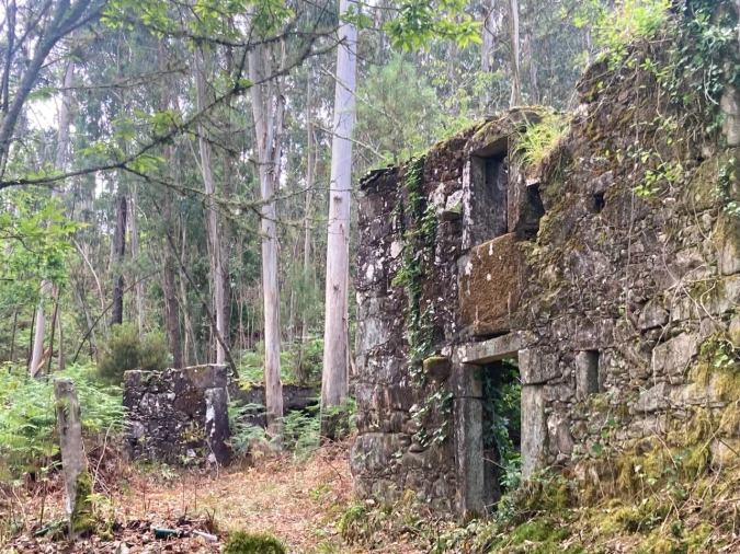Terreno para Venda em Freixieiro de Soutelo Foto 5