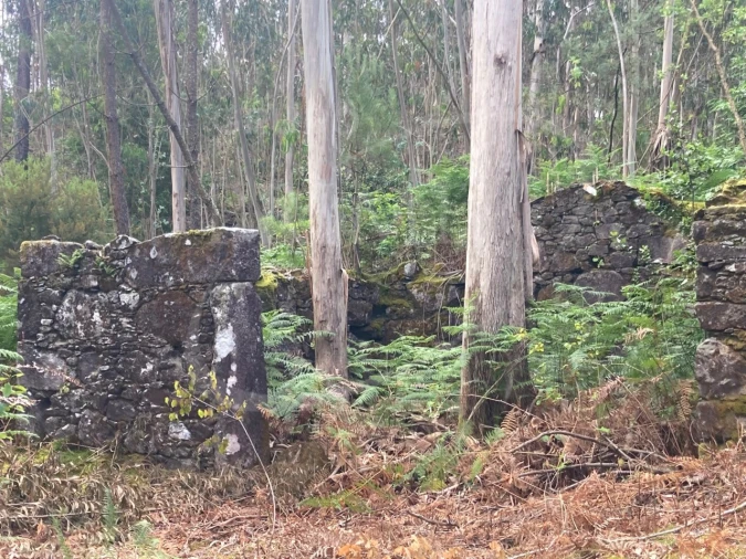 Terreno para Venda em Freixieiro de Soutelo Foto 8