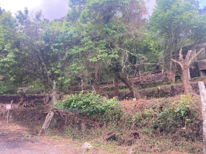 Terreno para Venda em Freixieiro de Soutelo Foto 9