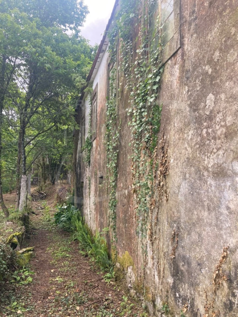 Terreno para Venda em Freixieiro de Soutelo Foto 12