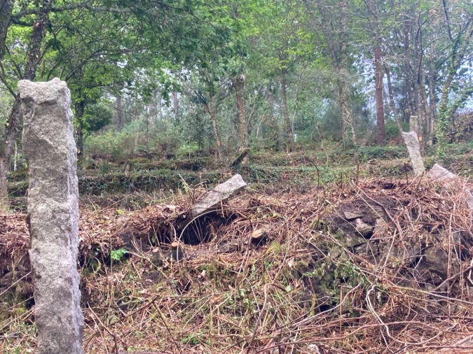 Terreno para Venda em Freixieiro de Soutelo Foto 13