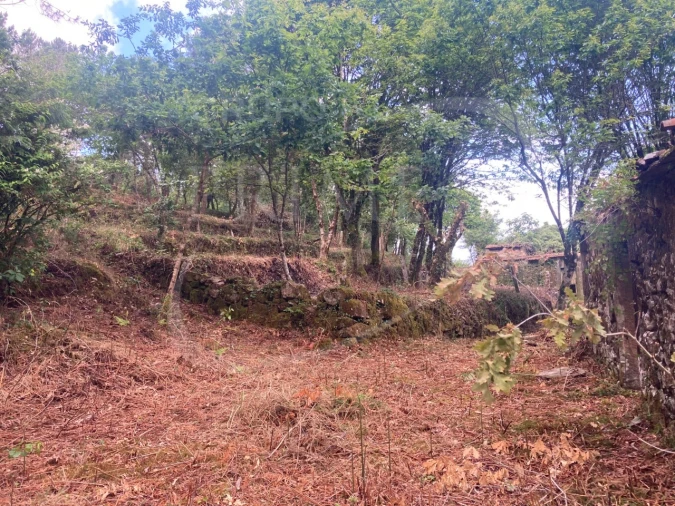 Terreno para Venda em Freixieiro de Soutelo Foto 14