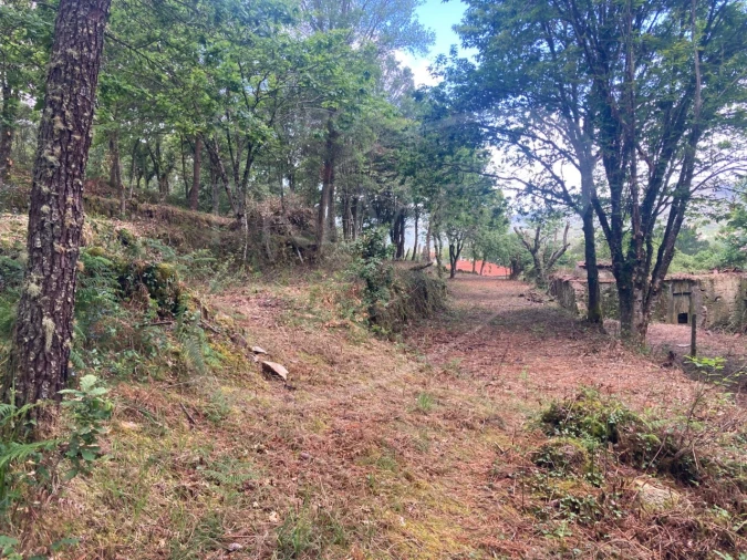 Terreno para Venda em Freixieiro de Soutelo Foto 15