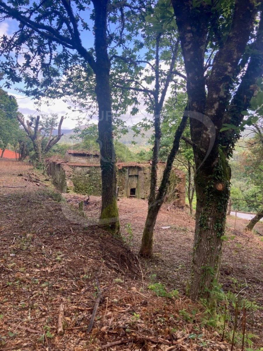 Terreno para Venda em Freixieiro de Soutelo Foto 19