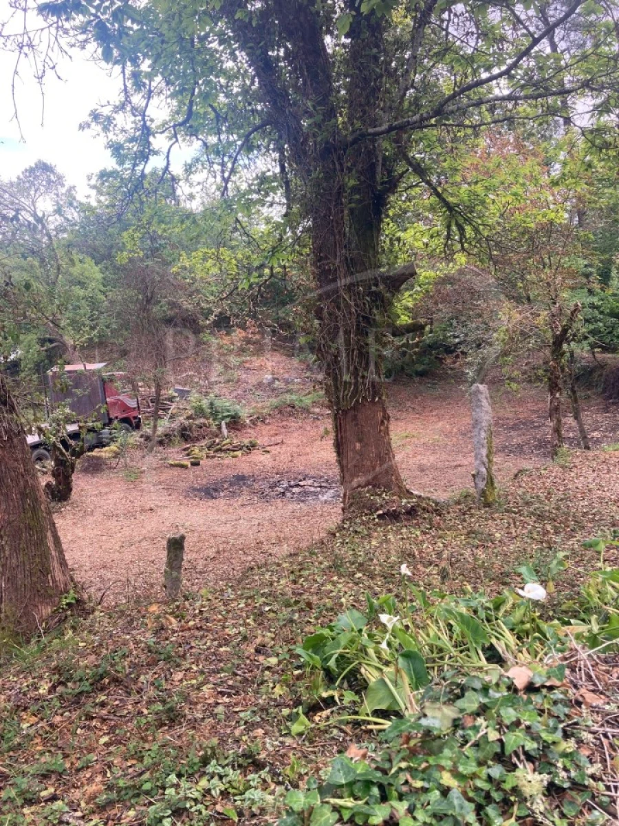 Terreno para Venda em Freixieiro de Soutelo Foto 21