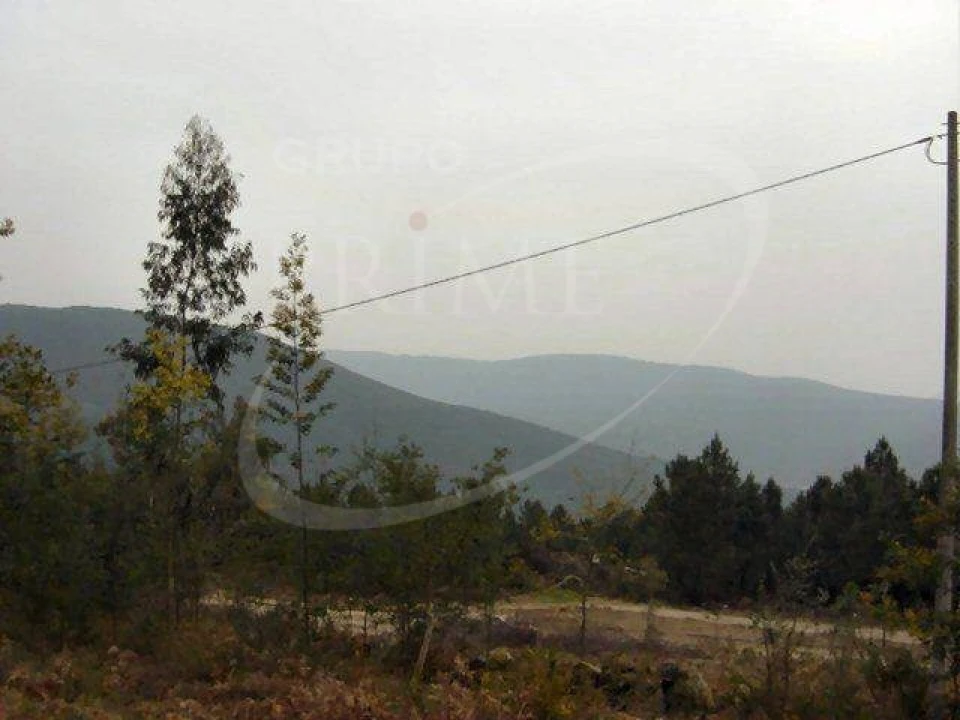 Terreno para Venda em Sopo Foto 1