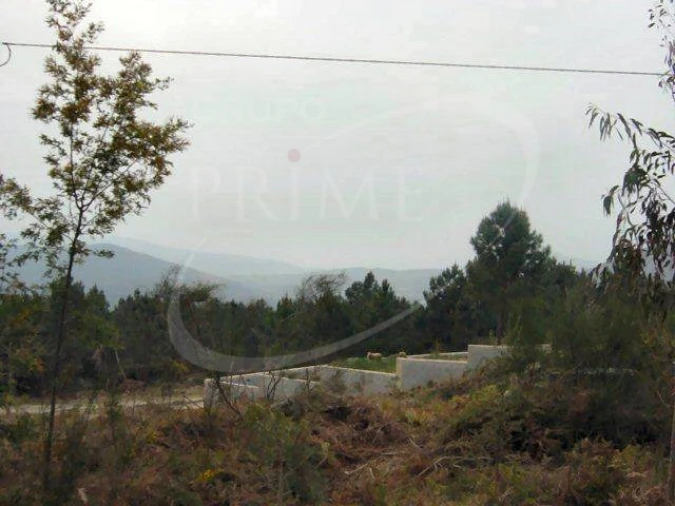 Terreno para Venda em Sopo Foto 2