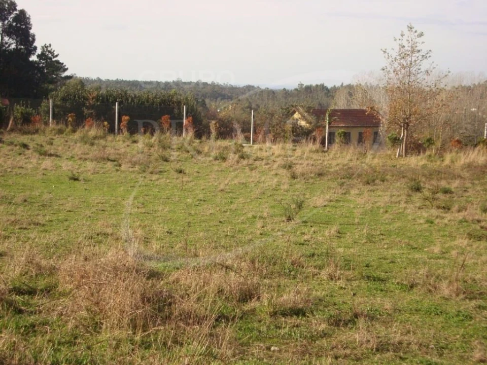 Terreno para Venda em Ovar, São João, Arada e São Vicente de Pereira Jusã Foto 2