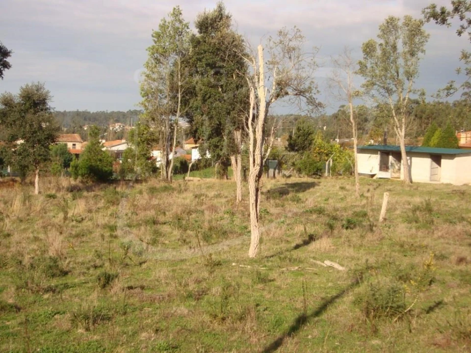 Terreno para Venda em Ovar, São João, Arada e São Vicente de Pereira Jusã Foto 3