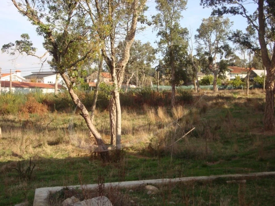 Terreno para Venda em Ovar, São João, Arada e São Vicente de Pereira Jusã Foto 4