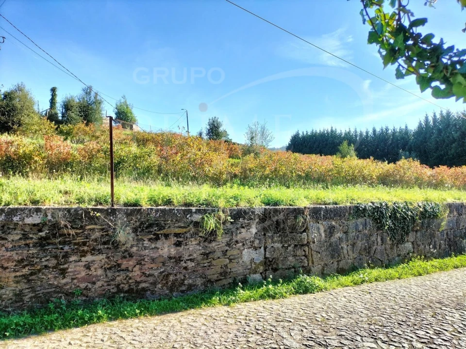Terreno para Venda em Sobreira Foto 3