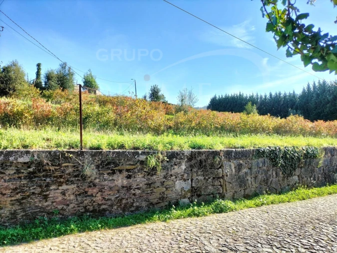 Terreno para Venda em Sobreira Foto 3