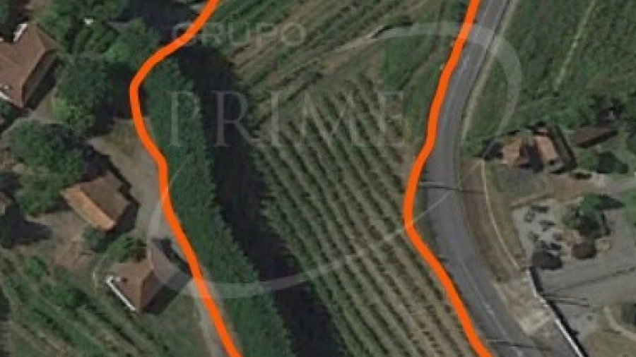 Terreno para Venda em Sobreira